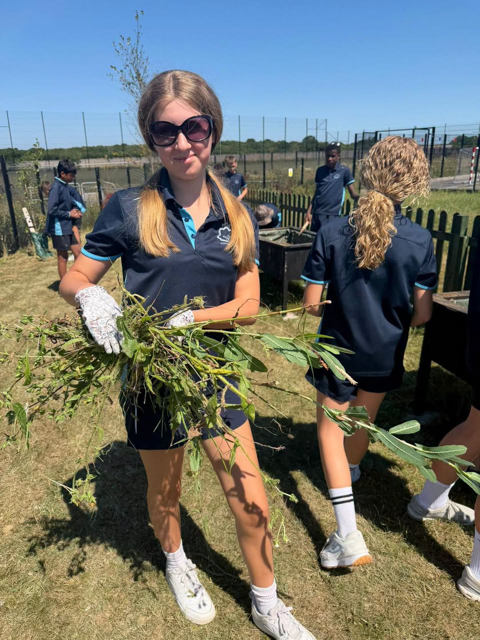 Wellbeing Garden