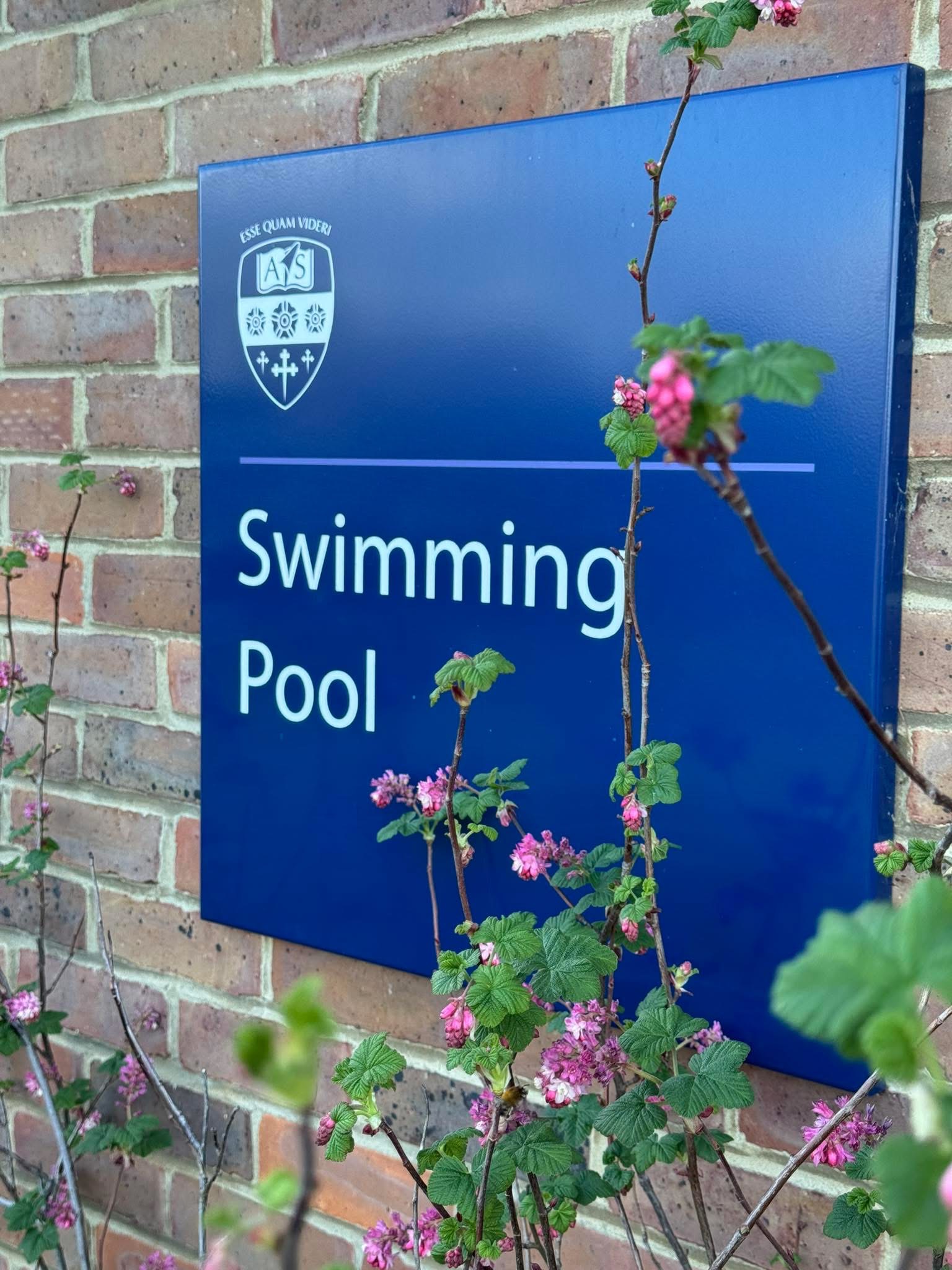 Boys Swimming Gala 2026