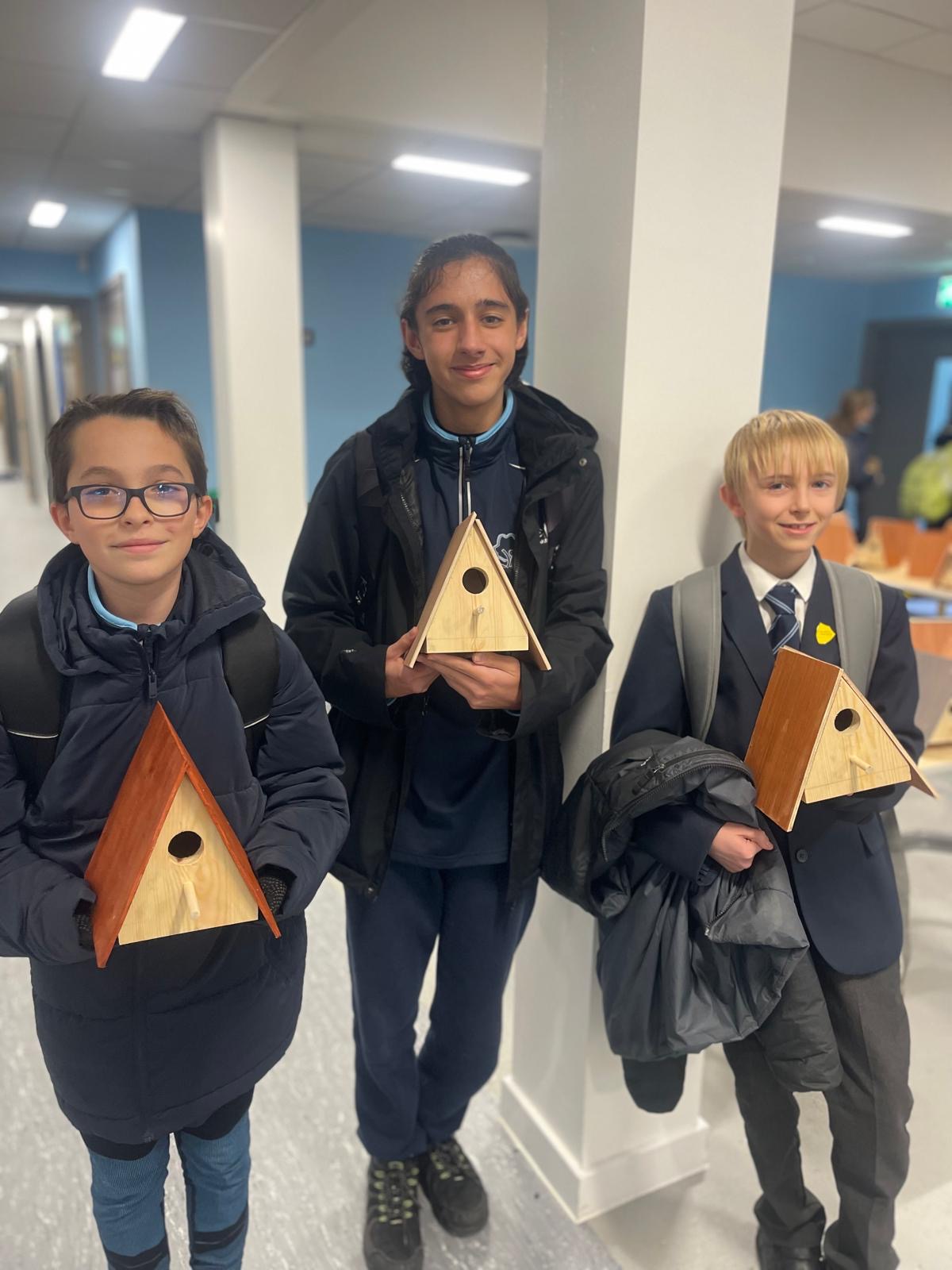DT Projects - Woodwork Bird Boxes 
