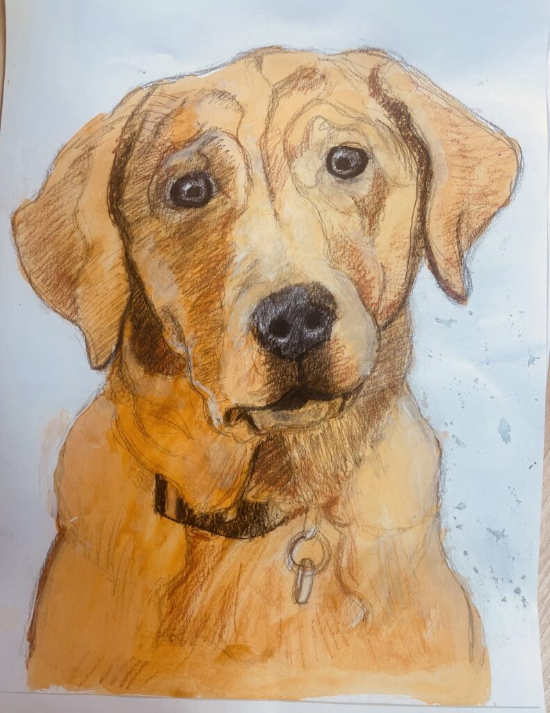 Gus Therapy Dog Art Entries