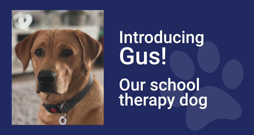 School therapy dog